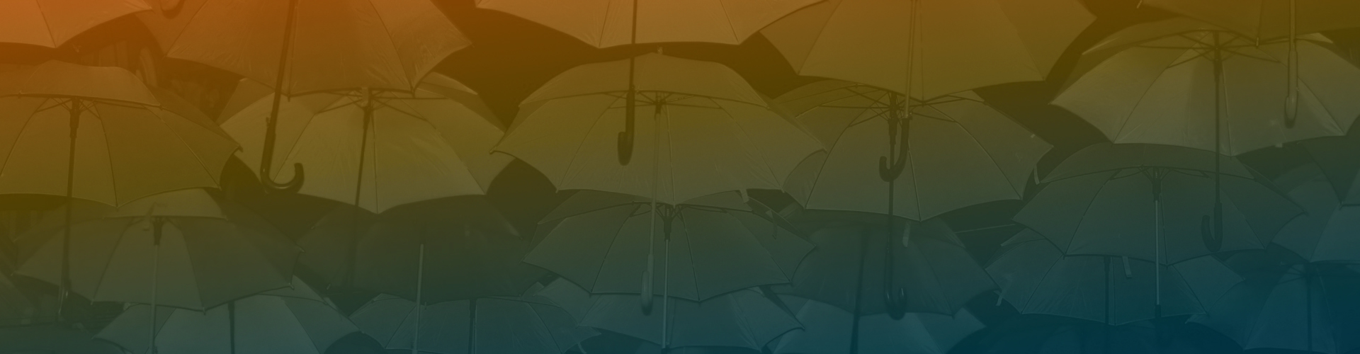 Developing Insurance Certificate Management System Azoft Developing Insurance Certificate Management System Azoft