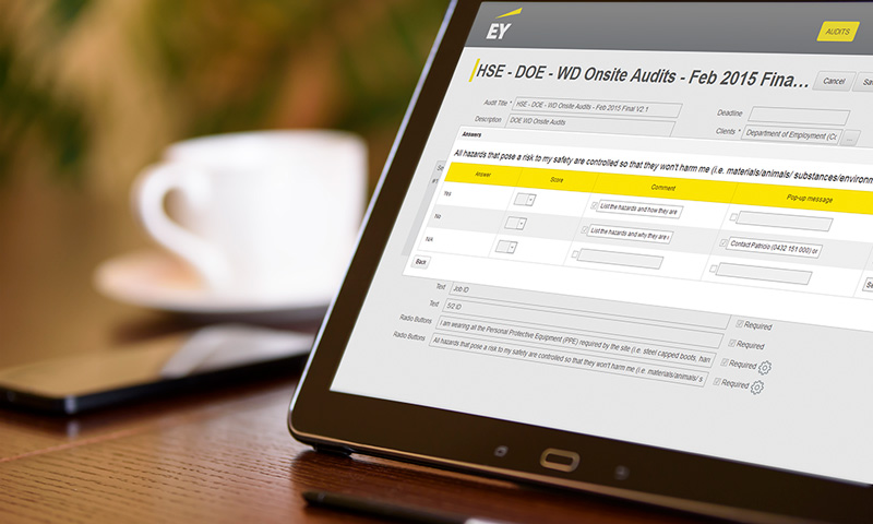 Enterprise Apps: EY tablet application