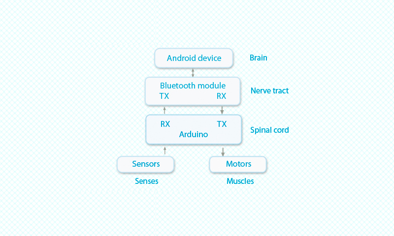 Android-Based Arduino Robot: Architecture