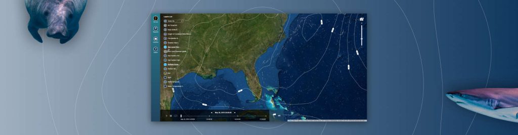Interactive Ocean Map Web App Development - Azoft