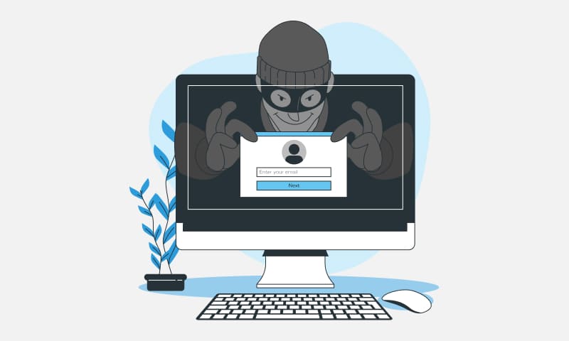 Cybersecurity and internet fraud